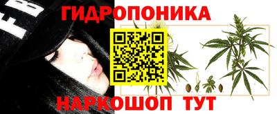 соль ск Можга